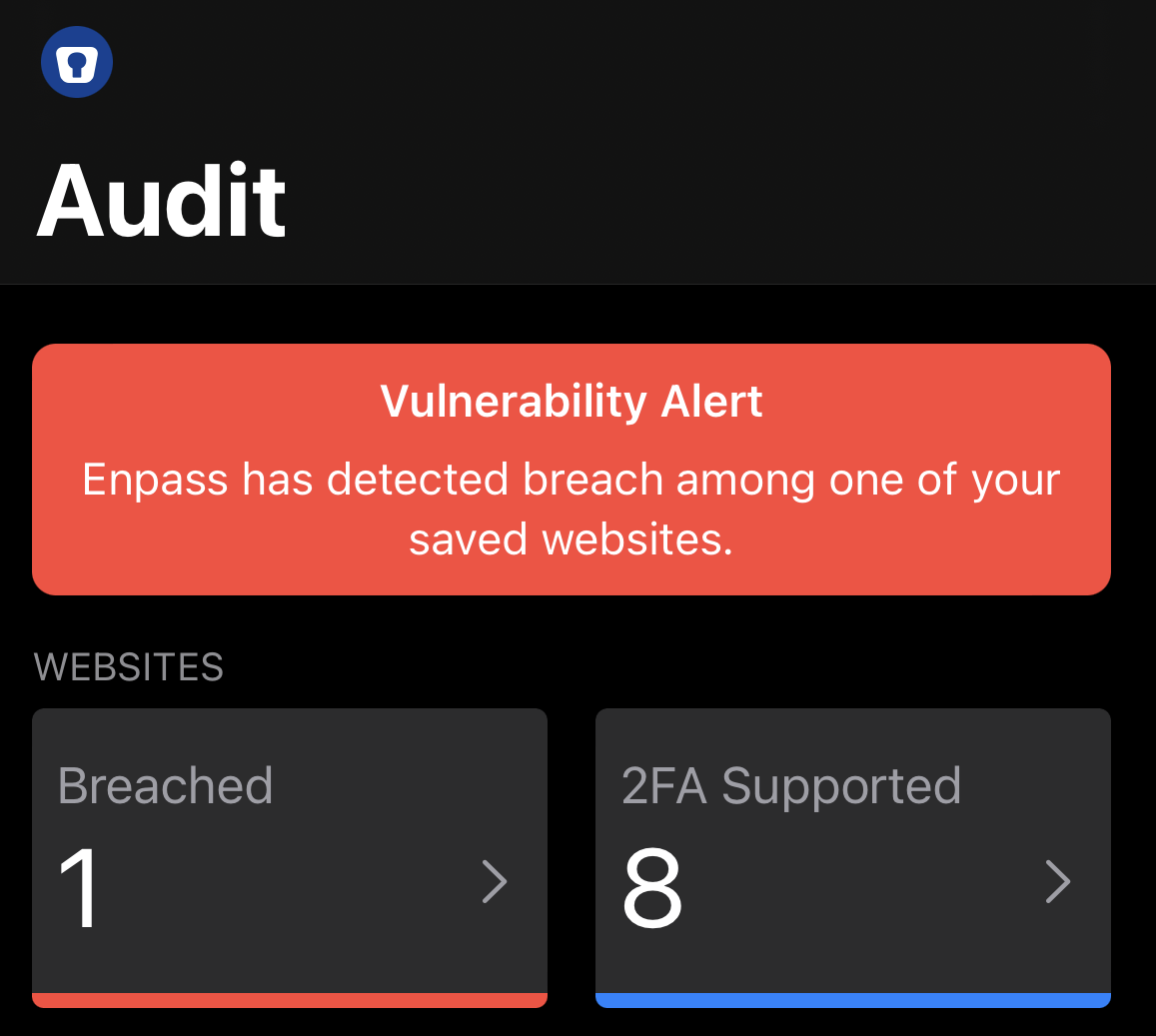 View Audit section to get breached and 2FA supported websites on iPhone